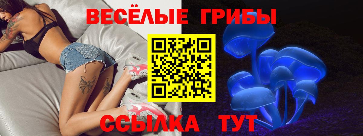 Псилоцибиновые грибы GOLDEN TEACHER  Вход с VPN  Галлюциногенные грибы ЛСД  Шали 